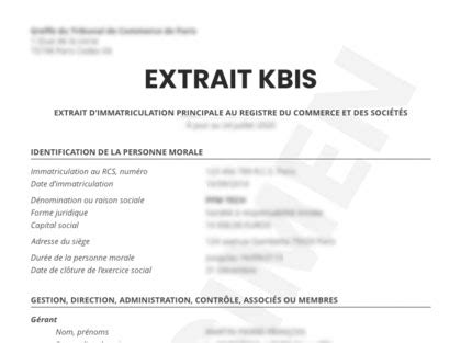 Société L V TRADING : Chiffre d'affaires, statuts, Kbis 